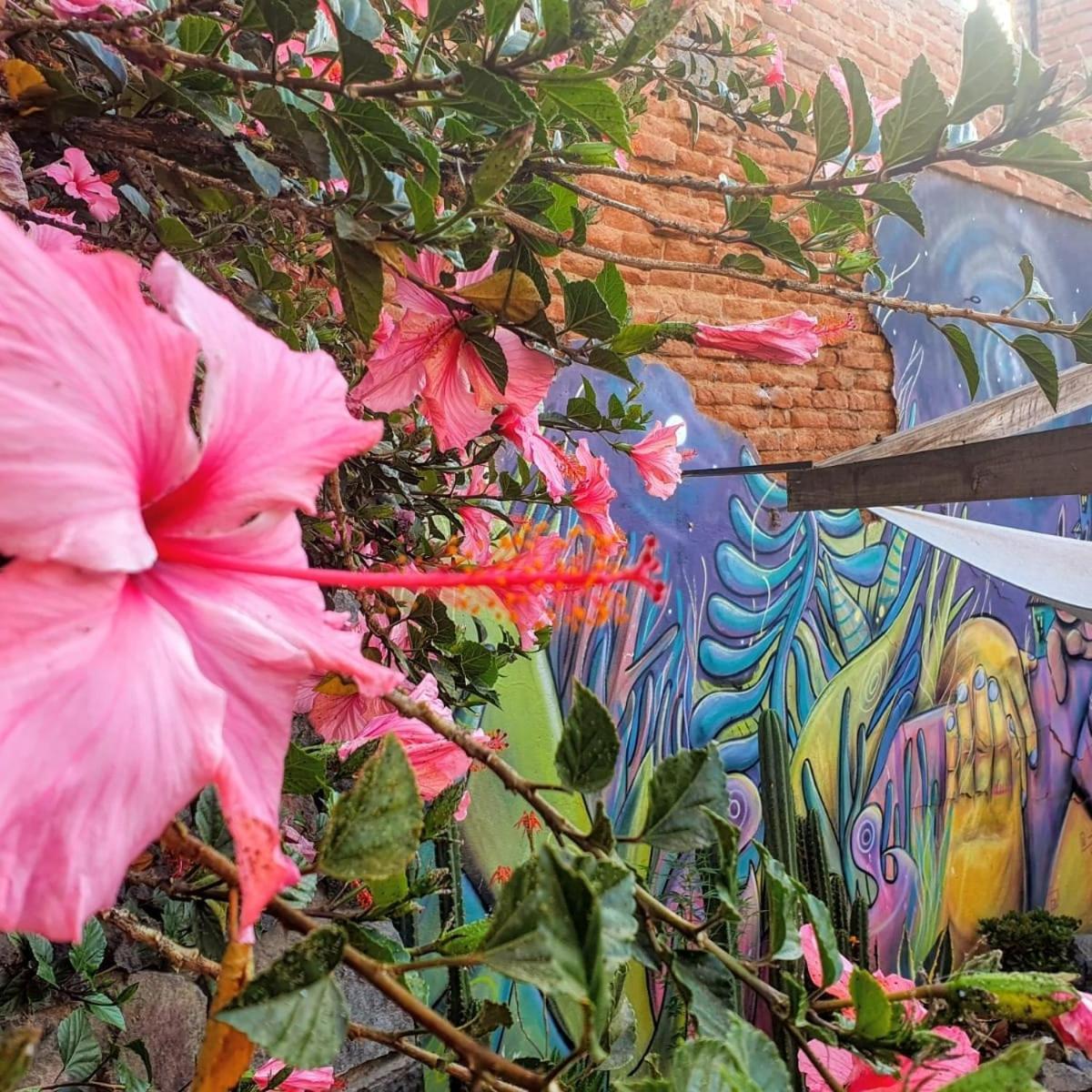 Hostel La Casa Piola Valparaíso Zewnętrze zdjęcie